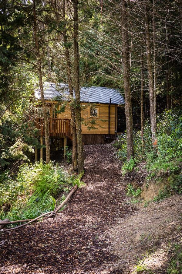 Maitai Whare Iti - Adventure Cabins & House Nelson Esterno foto